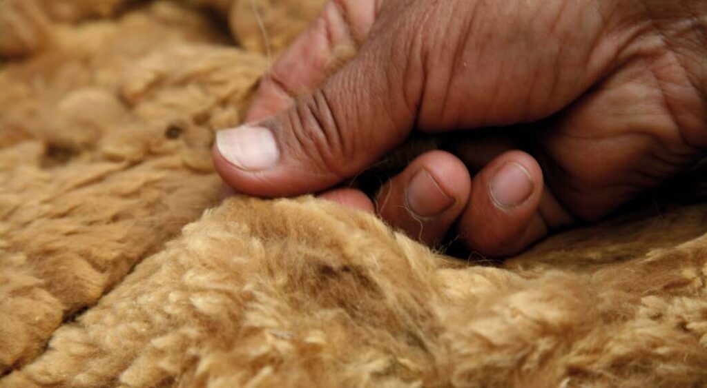The Enchanting World of Vicuna Wool: Crafting Luxury from Nature’s Finest Fiber