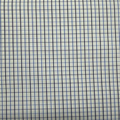SS11 - Light & Dark Blue Check