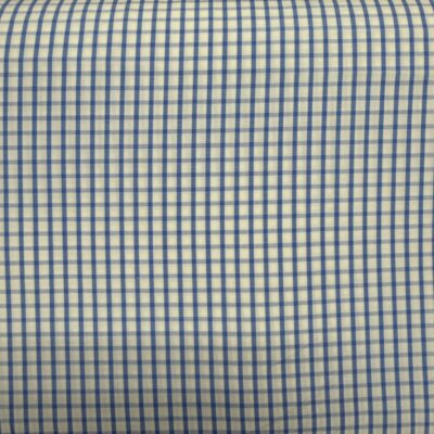 SS21 - Blue Gingham