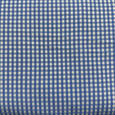 SS26 - Blue Gingham