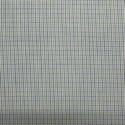SS41 - Blue Micro Check