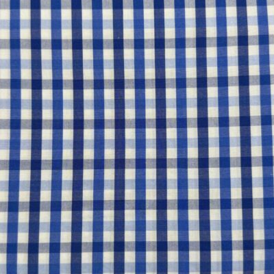 SS46 - Navy & Blue Gingham