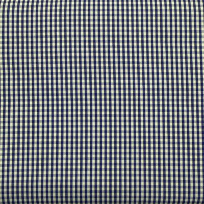 SS5 - Blue & White Gingham