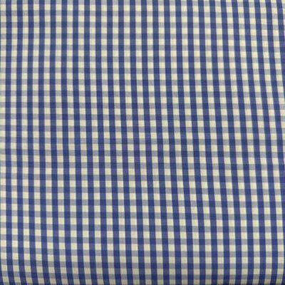 SS55 - Blue Gingham
