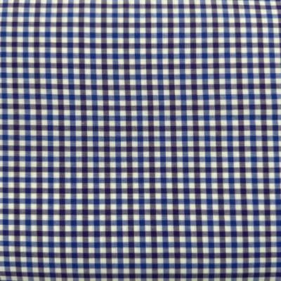 SS57 - Purple & Blue Gingham