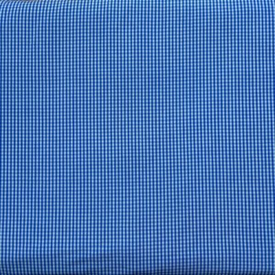 SS6 - Blue & White Small Gingham