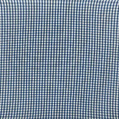 SS65 - Sky Blue Small Gingham