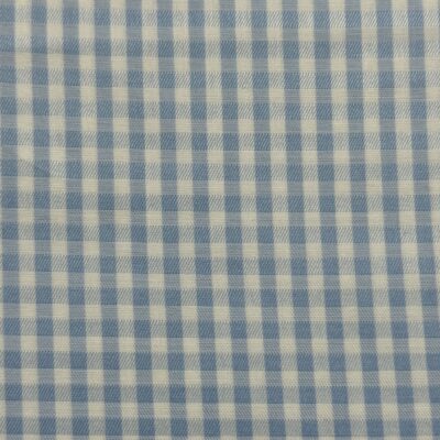 SS71 - Light Blue Check