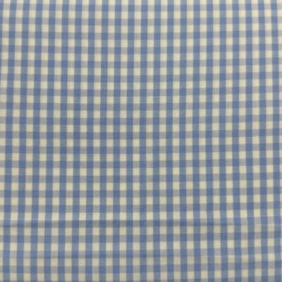 SS80 - Light Blue Gingham