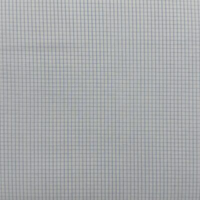 SS89 - Blue Small Check